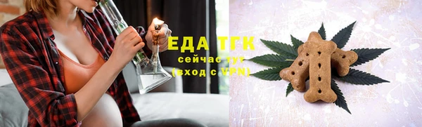 прущие грибы Аркадак