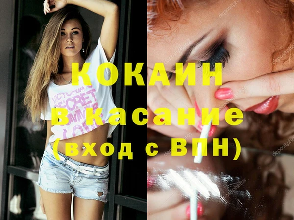 прущие грибы Аркадак