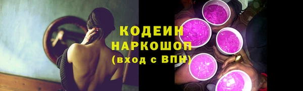прущие грибы Аркадак