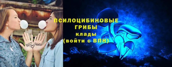 ГАЛЛЮЦИНОГЕННЫЕ ГРИБЫ Лиски