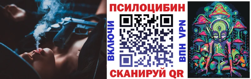 Псилоцибиновые грибы GOLDEN TEACHER Купить Городец