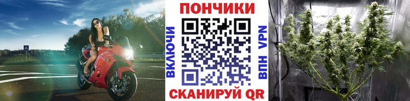 Купить  Городец  Марихуана гибрид 